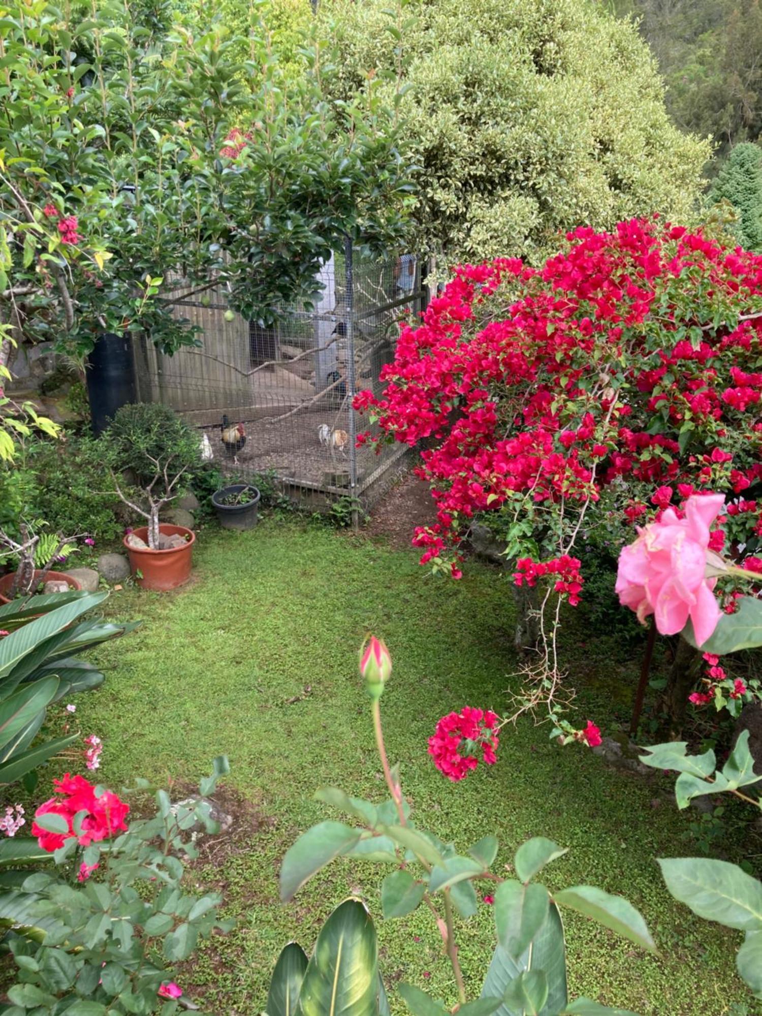 실라오스 Les Begonias 빌라 외부 사진